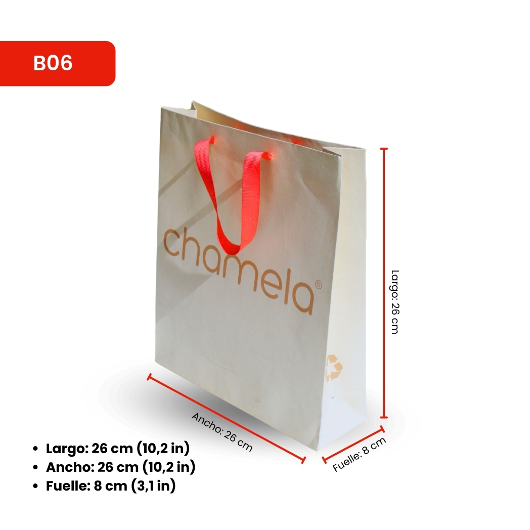 Square Paper Shopping Bag B06 Square Paper Shopping Bag B06